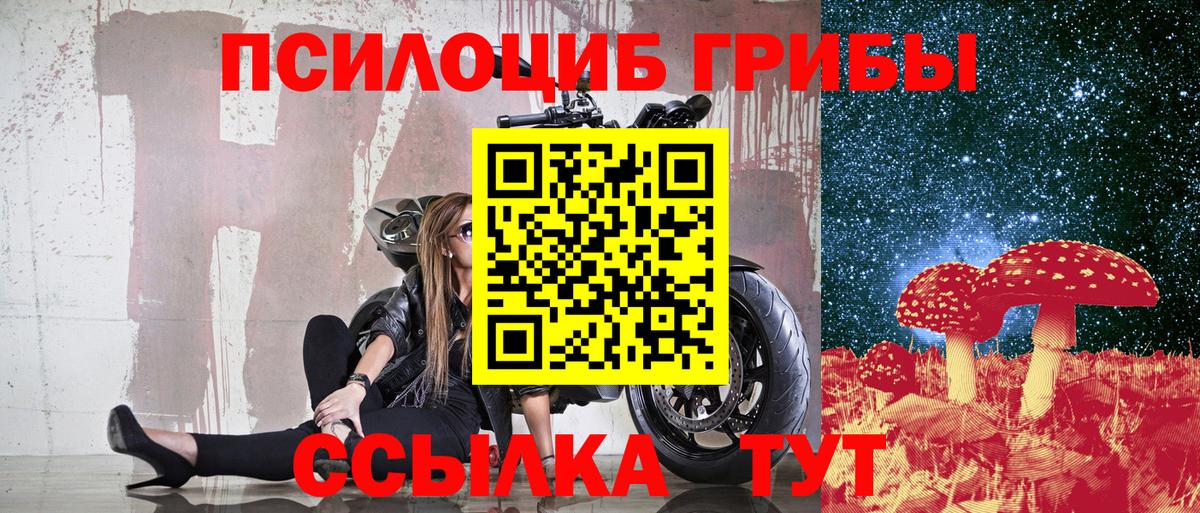 Галлюциногенные грибы Magic Shrooms  цены   Новошахтинск  Псилоцибиновые грибы Cubensis  Вход с VPN 